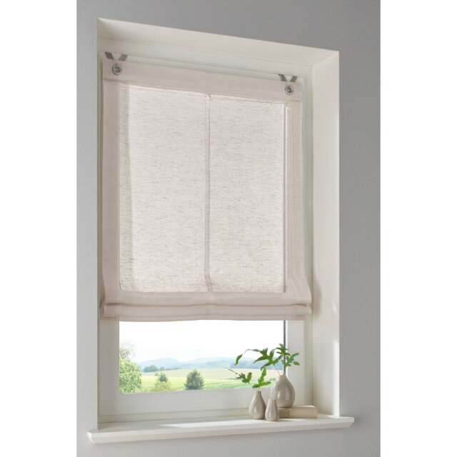 Semi Sheer Roman Blind