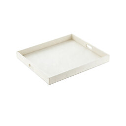 Tray