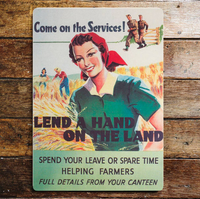 Come on the Services Lend a Hand on the Land Metal Wall Décor