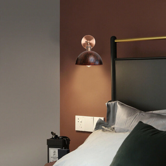 Janessa 1-Light Iron Swing Arm Dome Wall Sconce