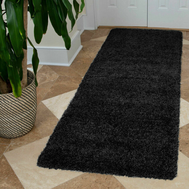 Aanuoluwa Black Indoor/Outdoor Rug