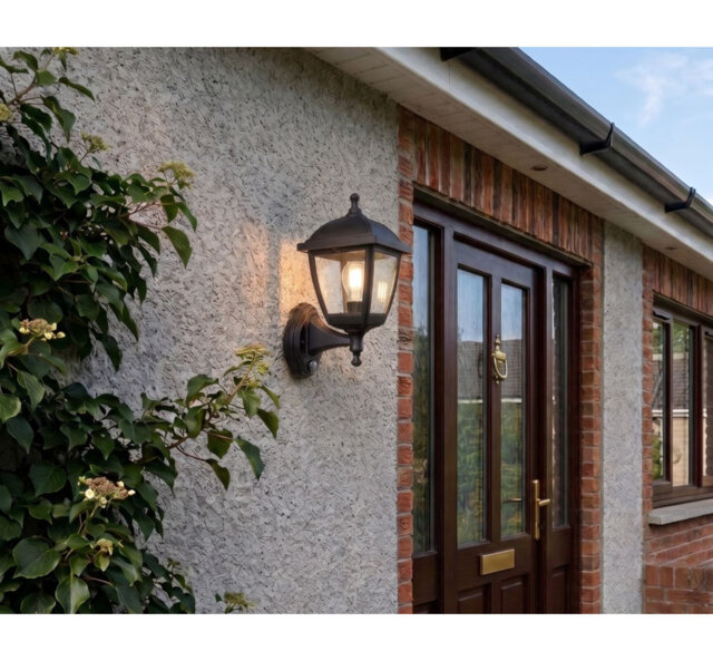 Matte Black 14.96cm H Outdoor Wall Lantern