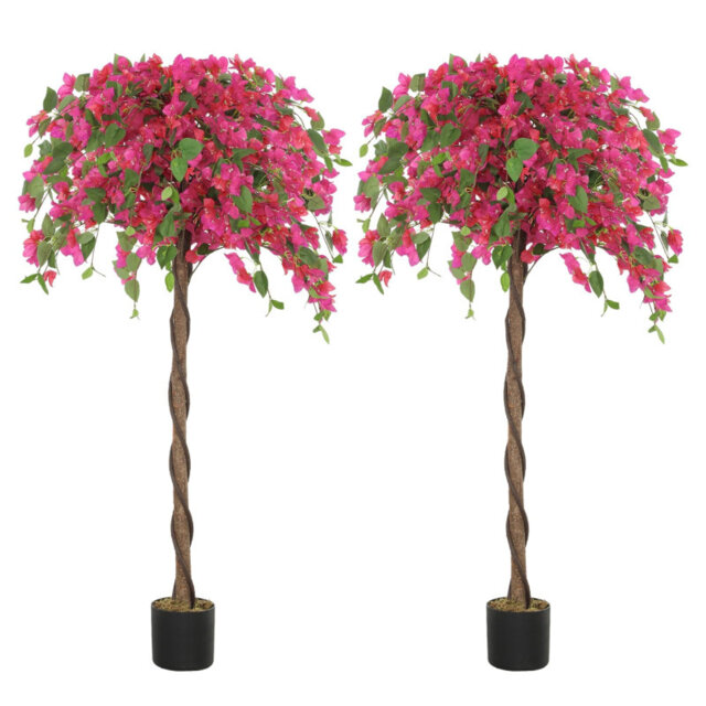 Arrangement in Pot