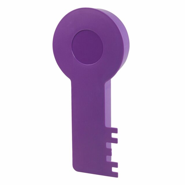 Plastic / Acrylic Wall Organizer with Key Hooks