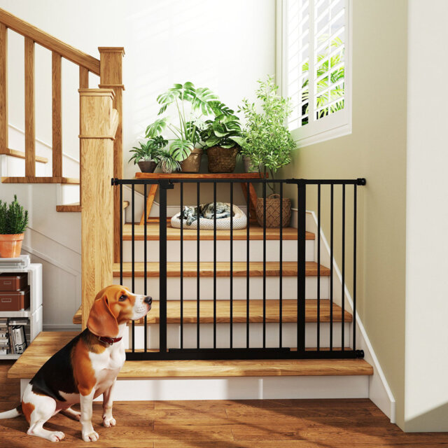 Dog Gate Pressure Mount Adjustable 76828697101107 cm Black