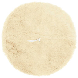 Light Green Cushion Cover