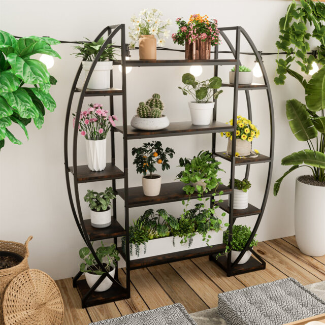 Aikins 125CM L 177CM H Plant Stand