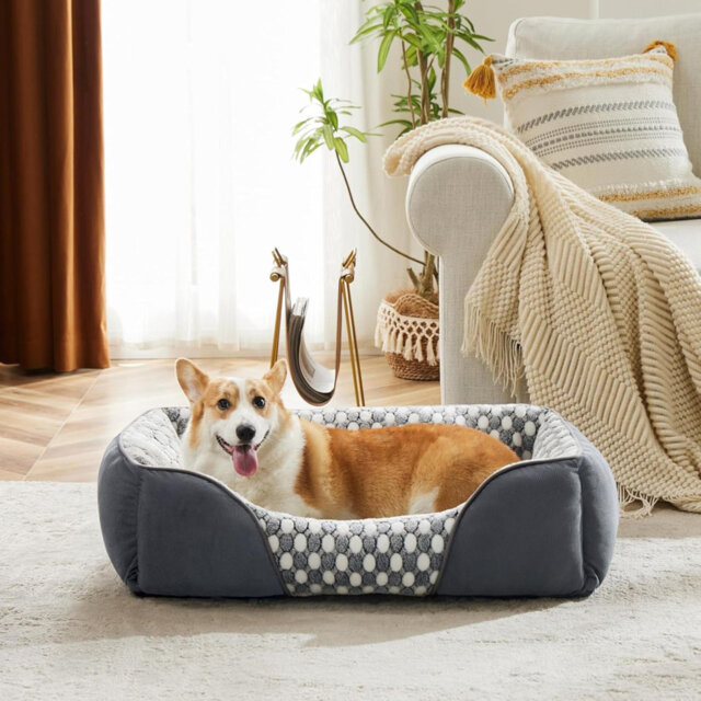 Extra Large Dog Bed Washable Dog Beds, XL Dogs Beds Clearance To Prevent Bone Diseases, No Residual Odor Dogs Sofa Bed XXL, 90X65x23cm