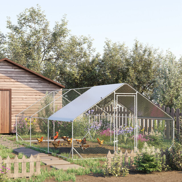 Chicken Coop