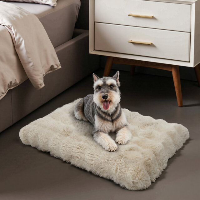 Dog Bed