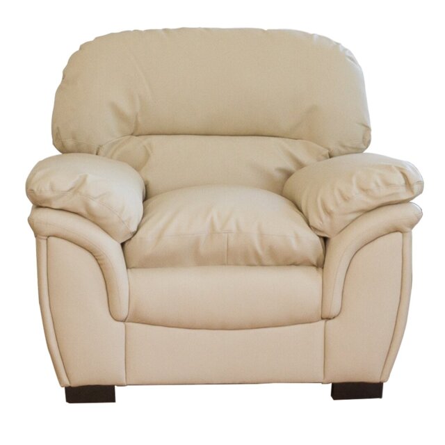 Sarno Faux Leather Armchair