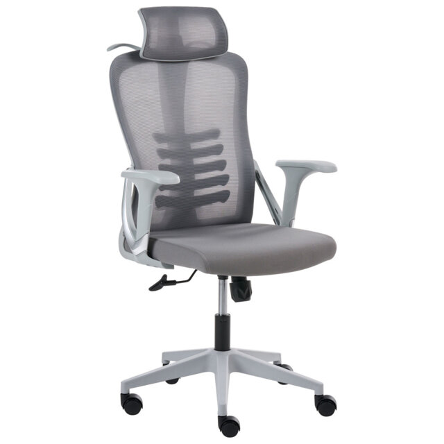 Office Chair ERGONOX Black