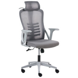 Office Chair ERGONOX Black