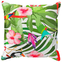 Cushion
