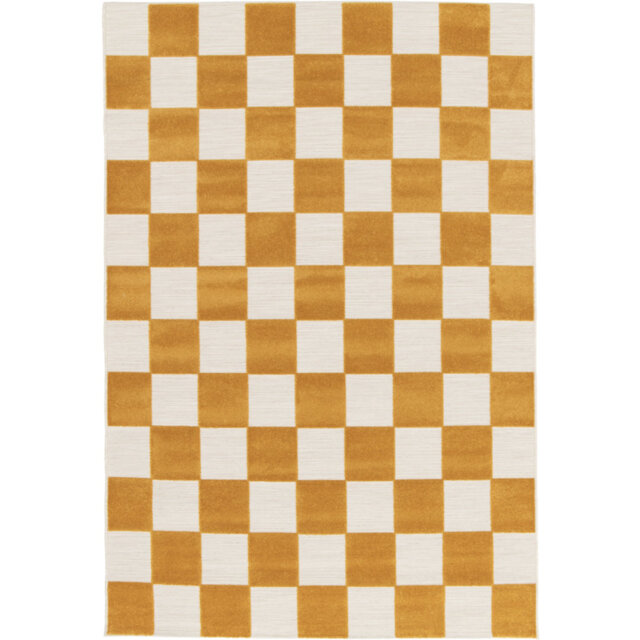 Philo Chequered Machine Woven Relief Indoor Outdoor Yellow Area Rug