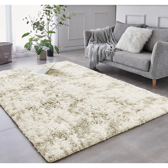 Spataro Solid Colour Indoor / Outdoor Area Rug