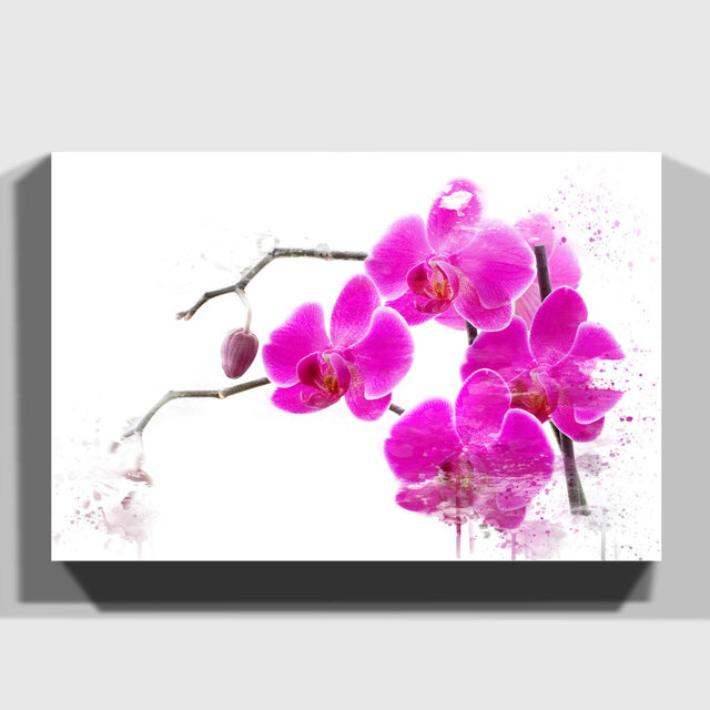 'Flower Pink Orchid' Graphic Art Print