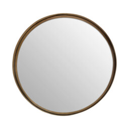 Rarden Round Metal Framed Wall Mounted Accent Mirror in Gold