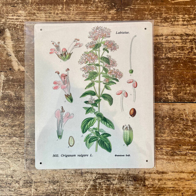 Handmade Plants & Flowers Wall Decor on Metal
