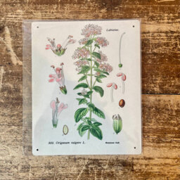Handmade Plants & Flowers Wall Decor on Metal