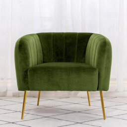 Hayler Velvet Barrel Chair