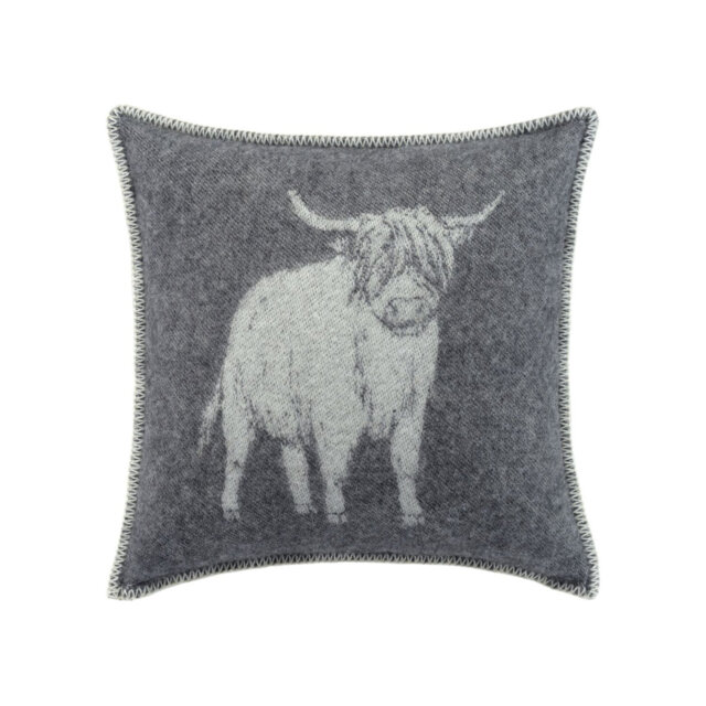 Cushion
