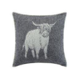 Cushion