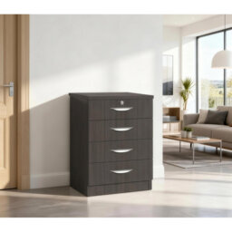Aiden 48cm Wide 4 -Drawer File Cabinet