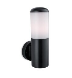 Matte Black 11.81cm H Outdoor Wall Lantern