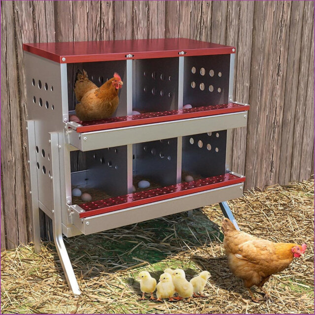 6 Compartment Chicken Nesting Box - Heavy Duty Metal Coop with Roll Away Egg Collection, Perch, Lid Cover for Egg Protection - Wall Mount/Free Standin