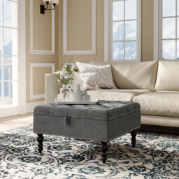 Dupras 74cm Wide Ottoman with Storage