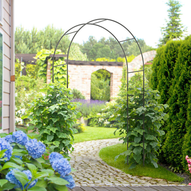Rose arch, archway, garden arch made of metal for climbing plants, climbing plants