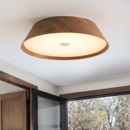 Flush Mount