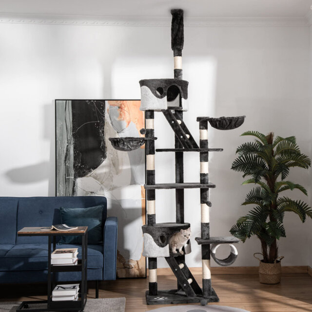 260cm H Cat Tree