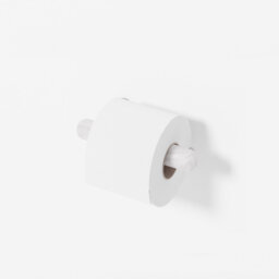 Estell Wall Mounted Toilet Paper Holder