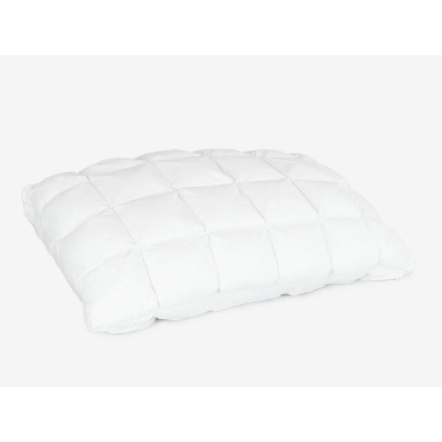 Arthur Sleep Cotton Cloud Pillow