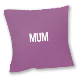Booth Square Throw Cushion