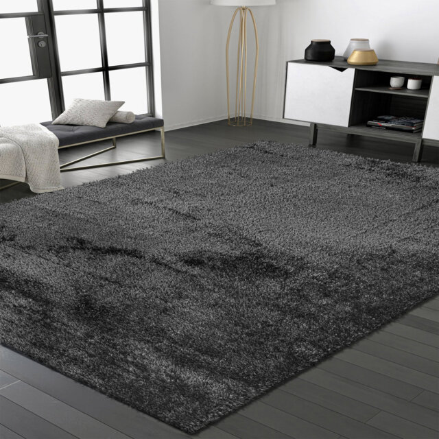 Chambre Shag Indoor / Outdoor Area Rug