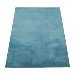 Cretien 100% Polyester Turquoise Outdoor Rug