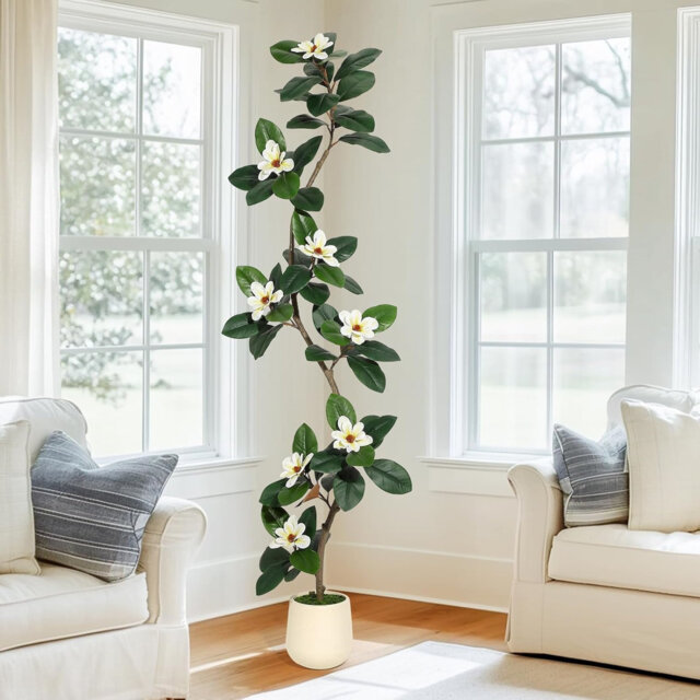 7FT Artificial Rubber Tree with 8 Realistic Magnolia Flowers - Faux Plant In White Planter Pot, Perfect for Home, Living Room, Office Decor