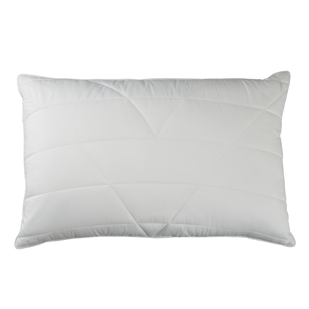 Hollander L75 x W50cm Pillow by Wayfair