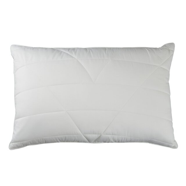 Hollander L75 x W50cm Pillow