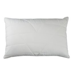 Hollander L75 x W50cm Pillow