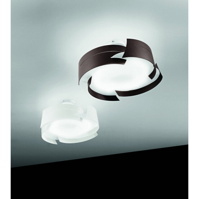 Vulture Acrylic Flush Mount