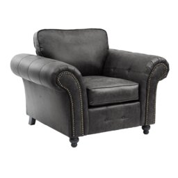 Bodnar Faux Leather Armchair