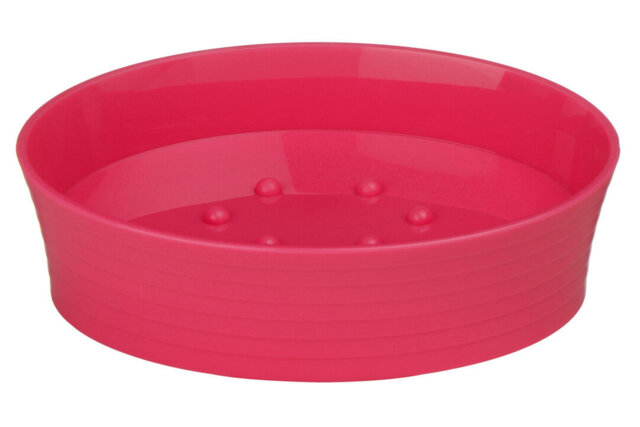 Soap Dish