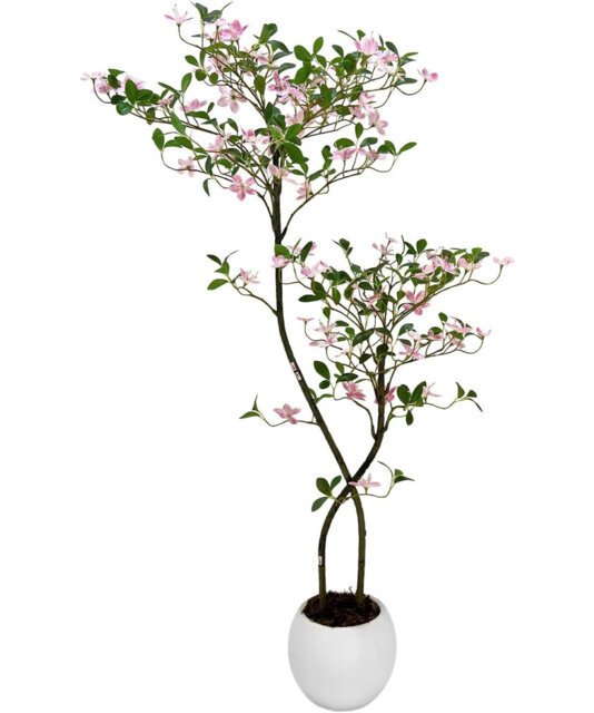 Arrangement