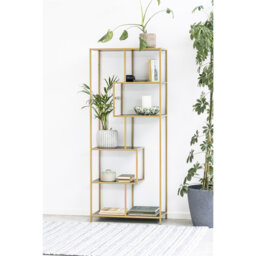 Romilda Bookcase