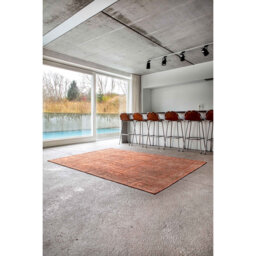 Brown Rug