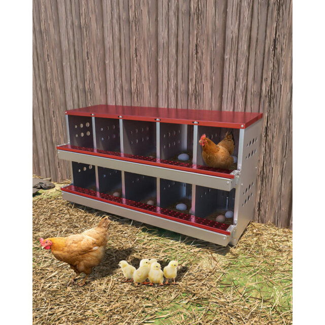 10-Compartment Galvanized Steel Chicken Nesting Box – Hen Coop Laying Nest with Ventilation Holes, Easy-Clean & Easy Egg Collection for Poultry, Outdo